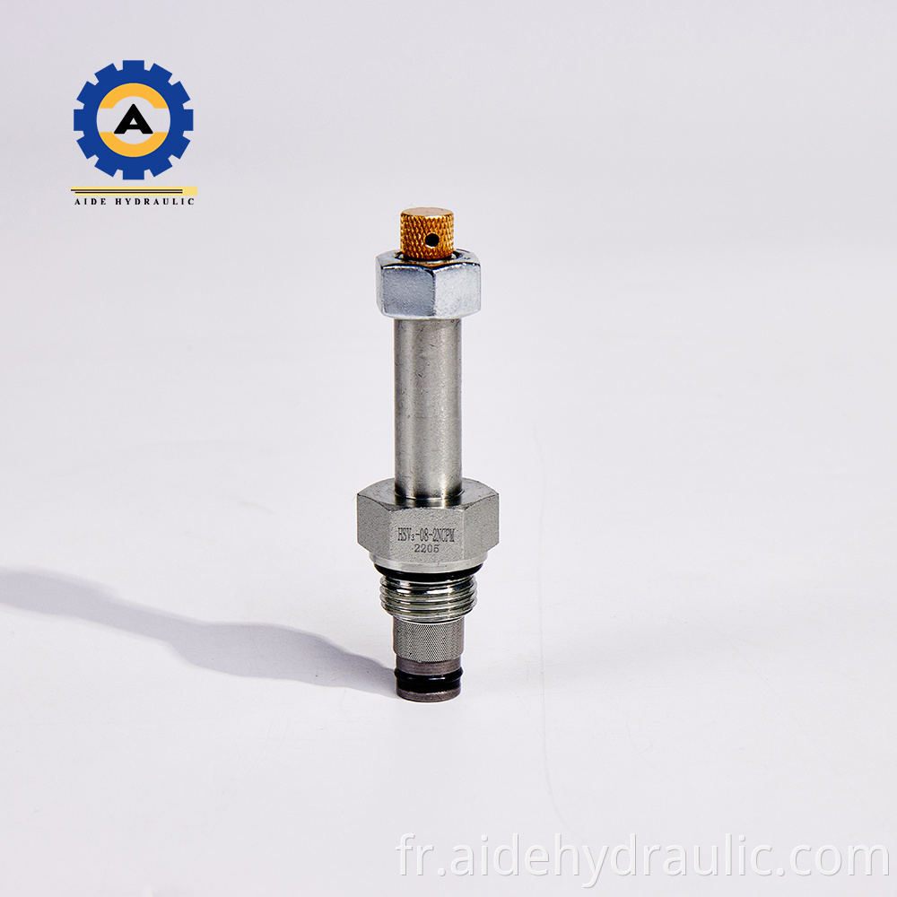 Throttle Valve